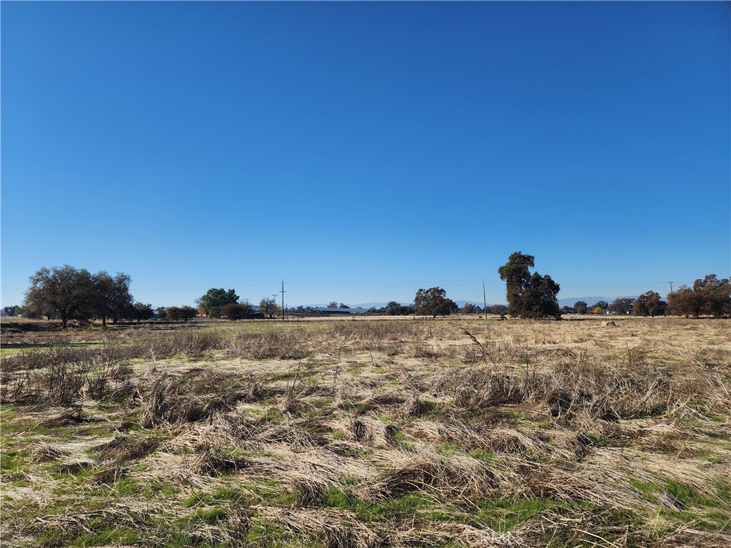 1882 Capay Road Property Photo 32