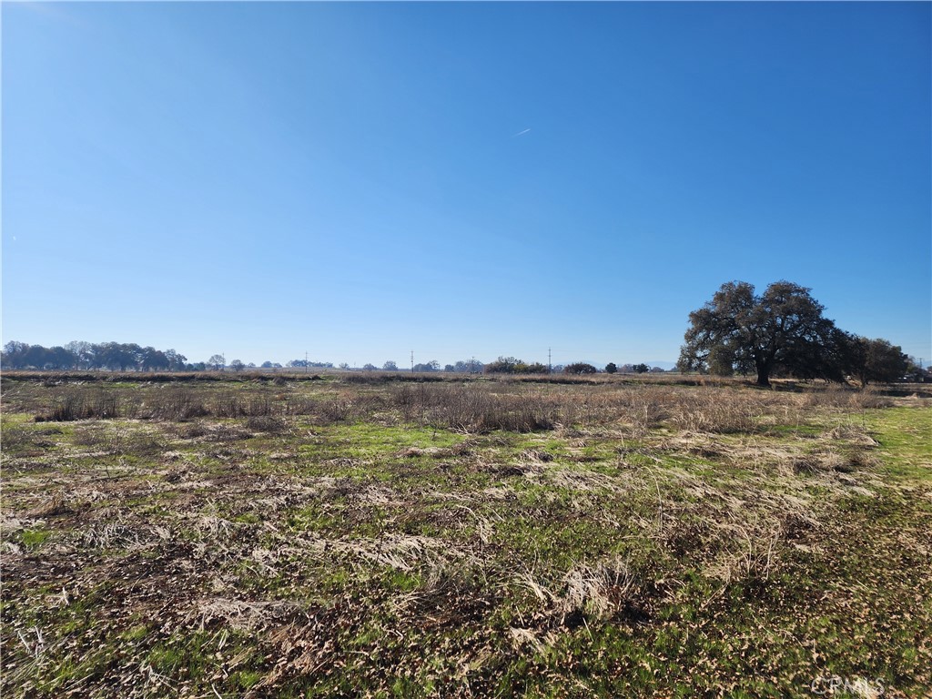 1882 Capay Road Property Photo 34