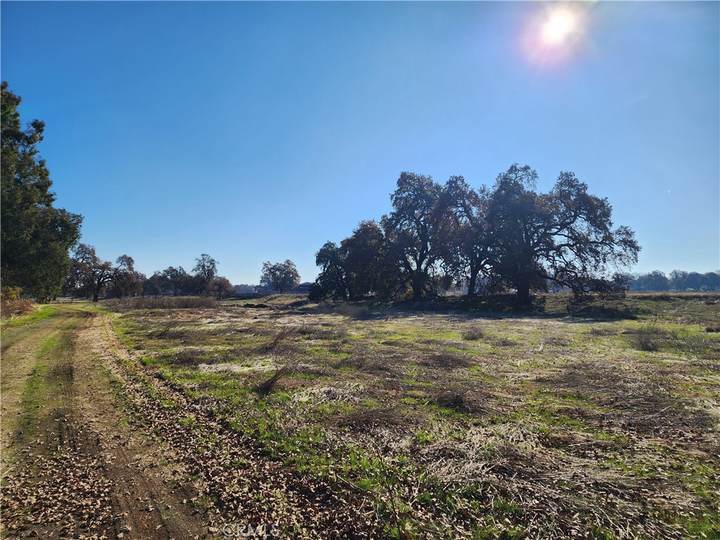 1882 Capay Road Property Photo 35