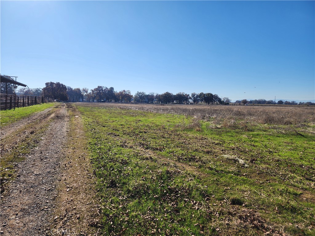1882 Capay Road Property Photo 36