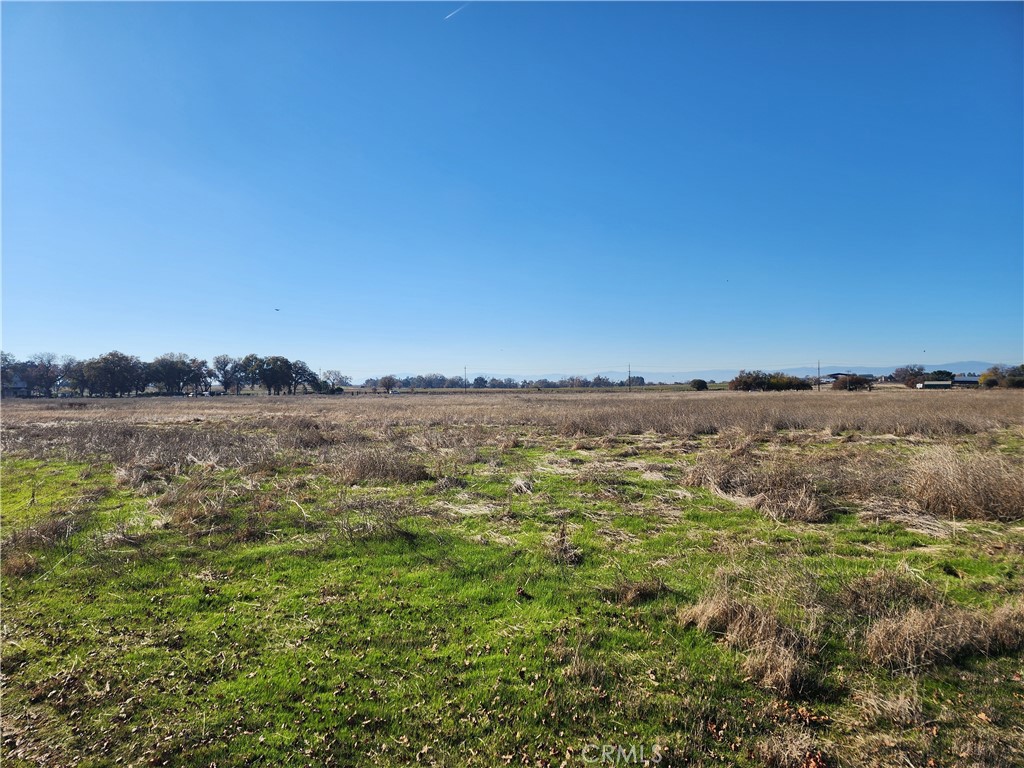 1882 Capay Road Property Photo 37