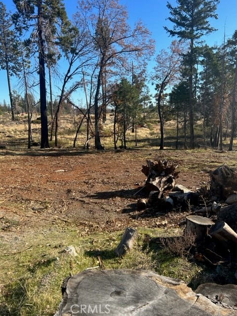 6268 Pueblo Drive Property Photo 7