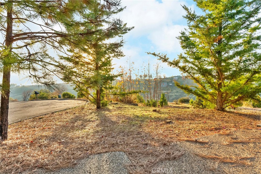 5461 Alpine Court Property Photo 17