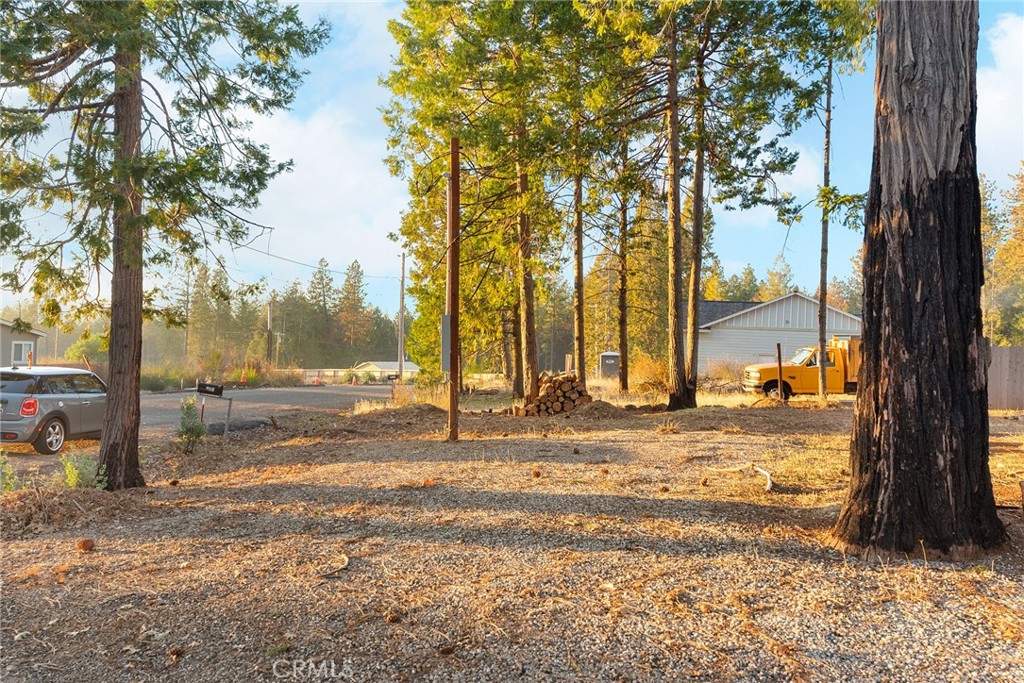 14182 Sherwood Circle Property Photo 13