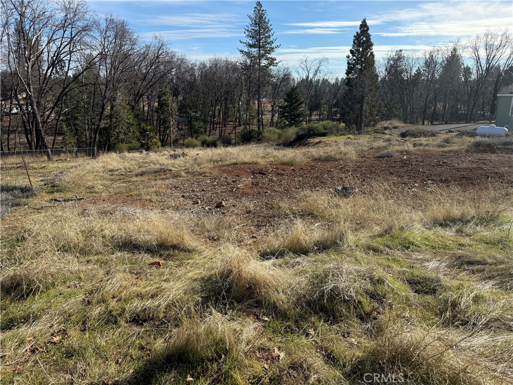 6382 Molinari Court Property Photo 1
