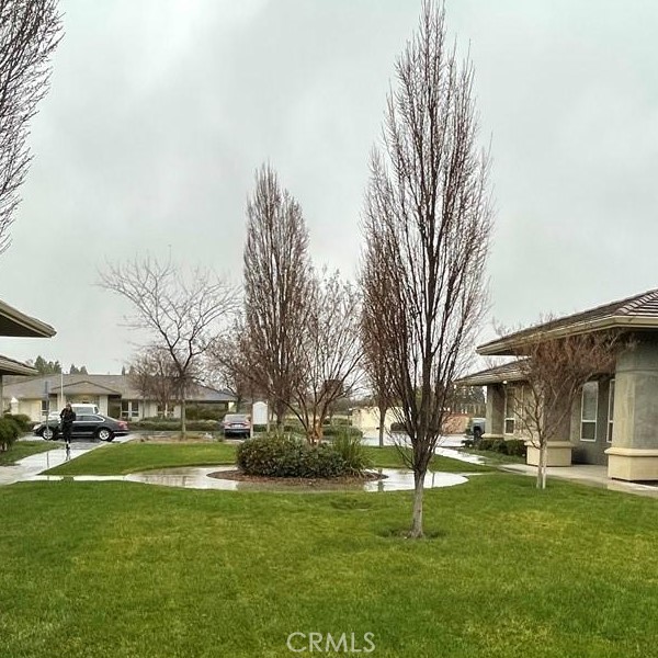 1351 Cortina Drive 100 Property Photo 9