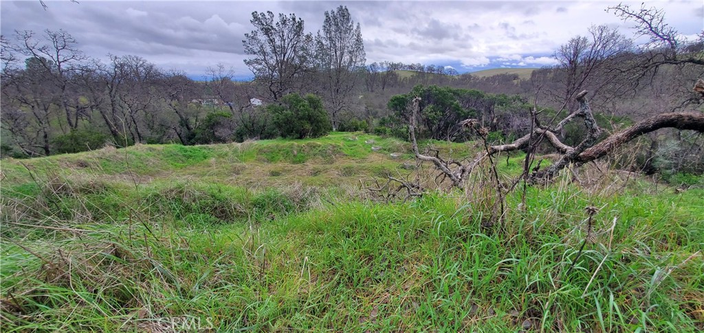 6960 Cougar Drive Property Photo 1