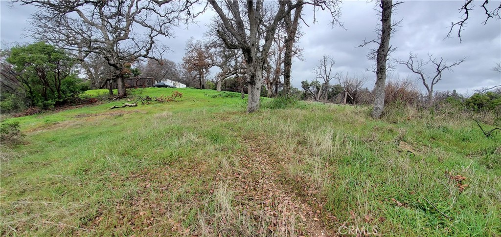 6960 Cougar Drive Property Photo 2