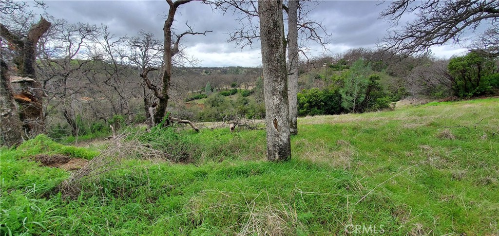 6960 Cougar Drive Property Photo 3