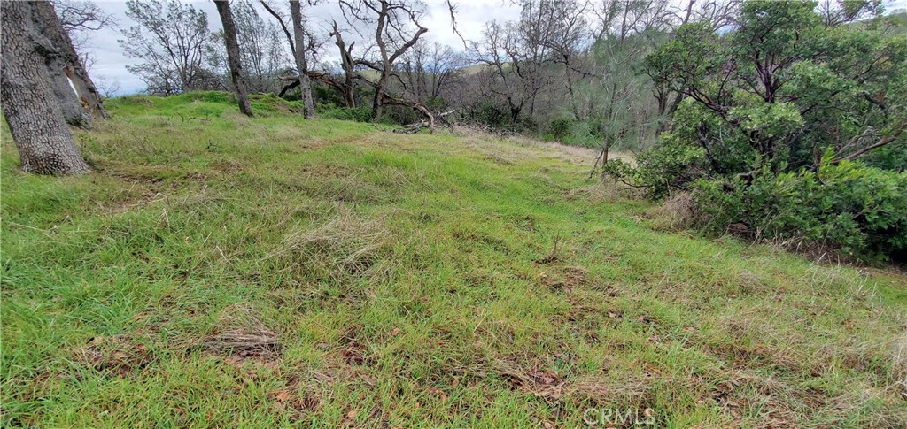 6960 Cougar Drive Property Photo 5