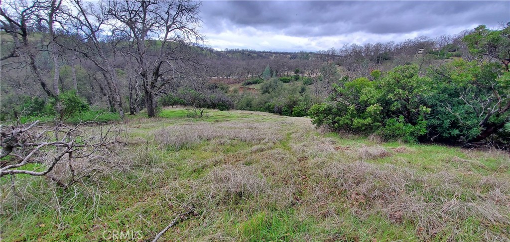 6960 Cougar Drive Property Photo 6