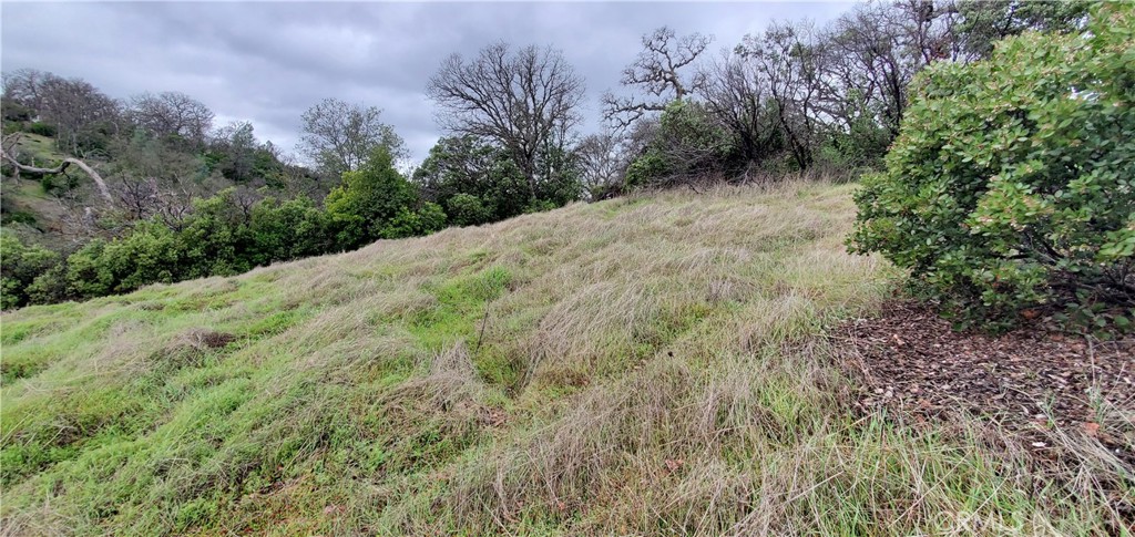 6960 Cougar Drive Property Photo 7