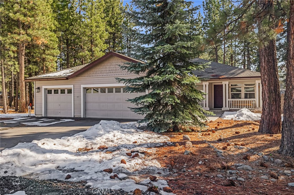 462 Watson Road Property Photo