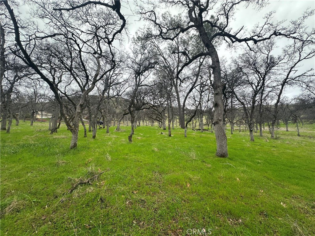 Butte Valley Real Estate Listings Main Image