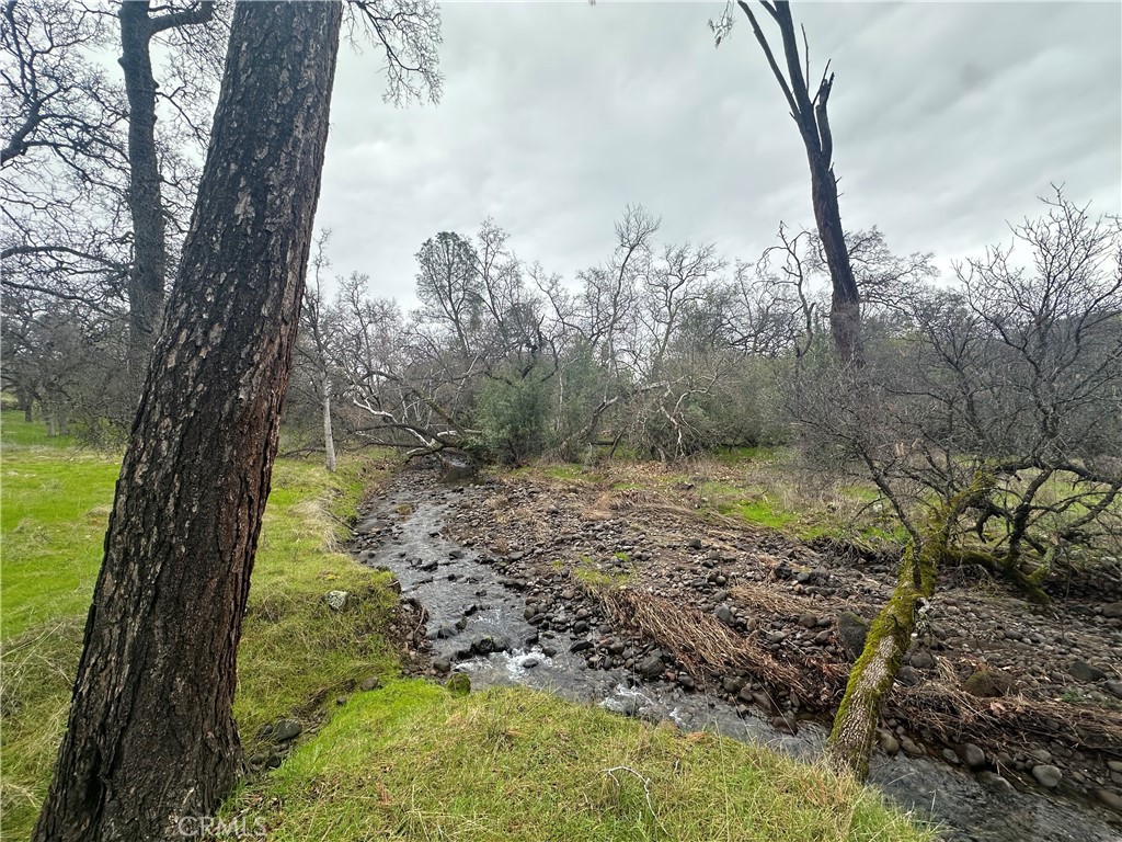 0 Royal Mountain Road Property Photo 4