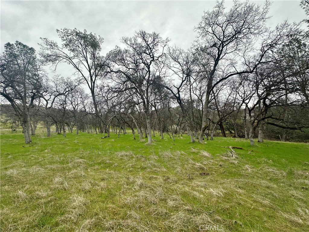 0 Royal Mountain Road Property Photo 8