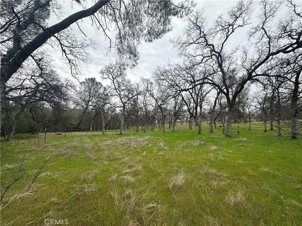 0 Royal Mountain Road Property Photo 9