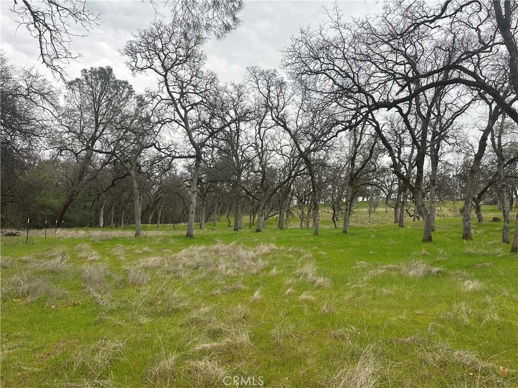 0 Royal Mountain Road Property Photo 10