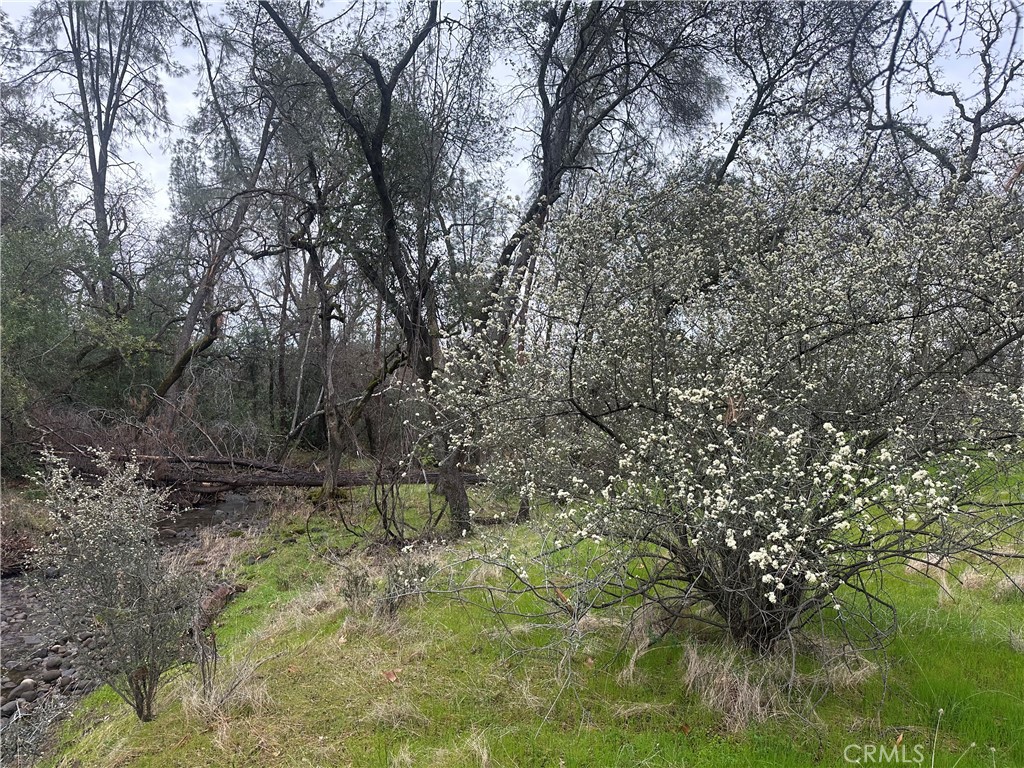 0 Royal Mountain Road Property Photo 11