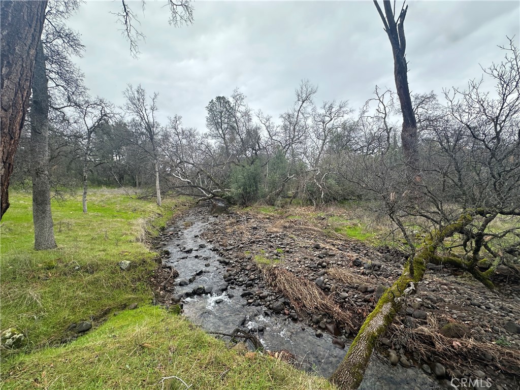 0 Royal Mountain Road Property Photo 12