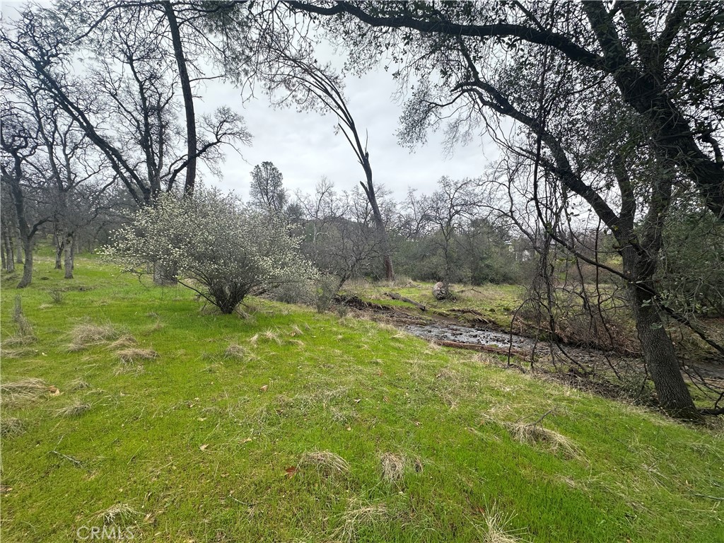 0 Royal Mountain Road Property Photo 13