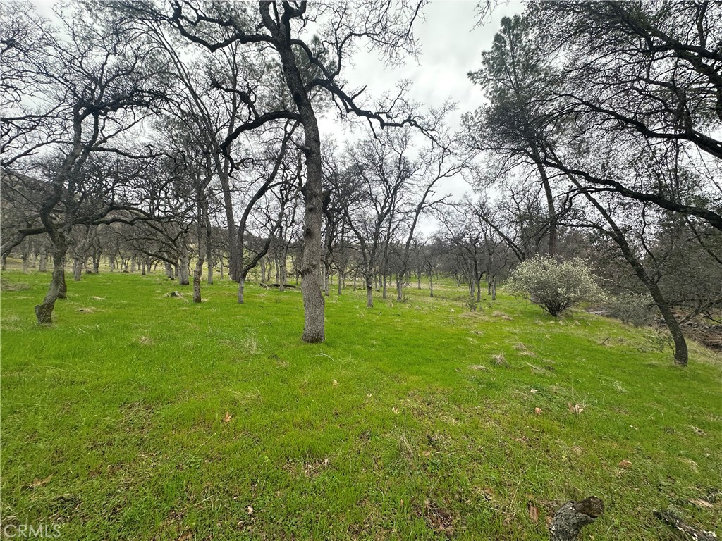 0 Royal Mountain Road Property Photo 14
