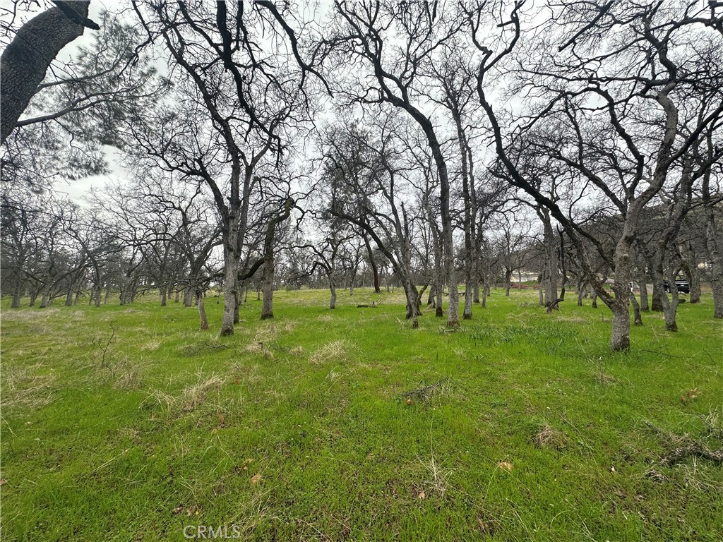 0 Royal Mountain Road Property Photo 15