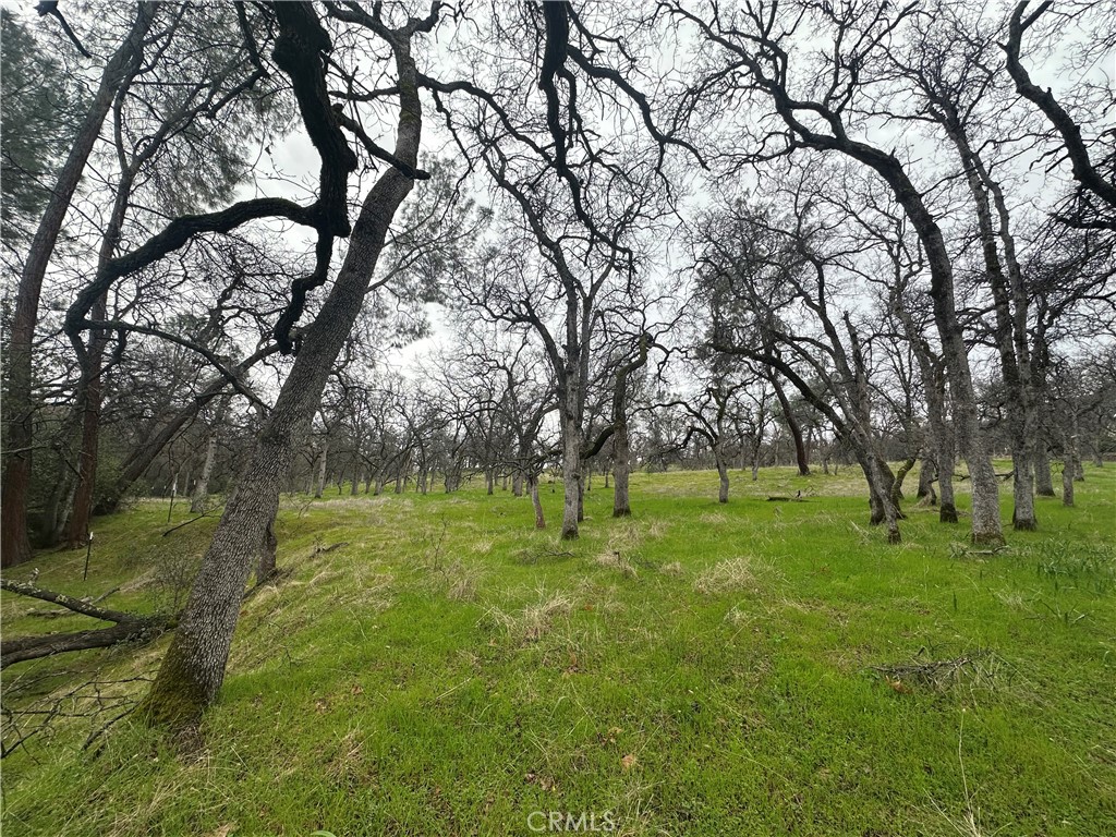 0 Royal Mountain Road Property Photo 16