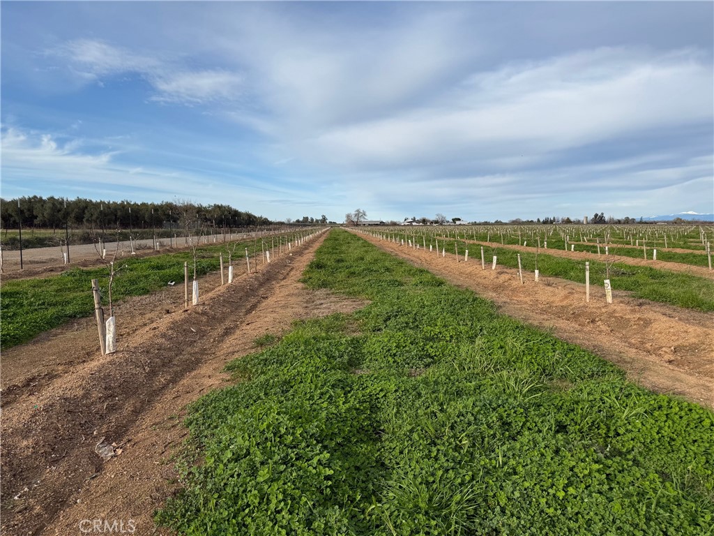 0 Road 17 Property Photo