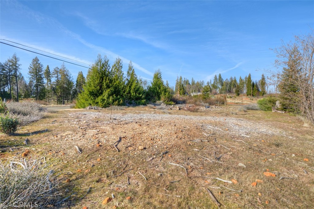13828 Andover Drive Property Photo 5