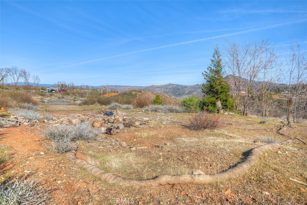 13828 Andover Drive Property Photo 6