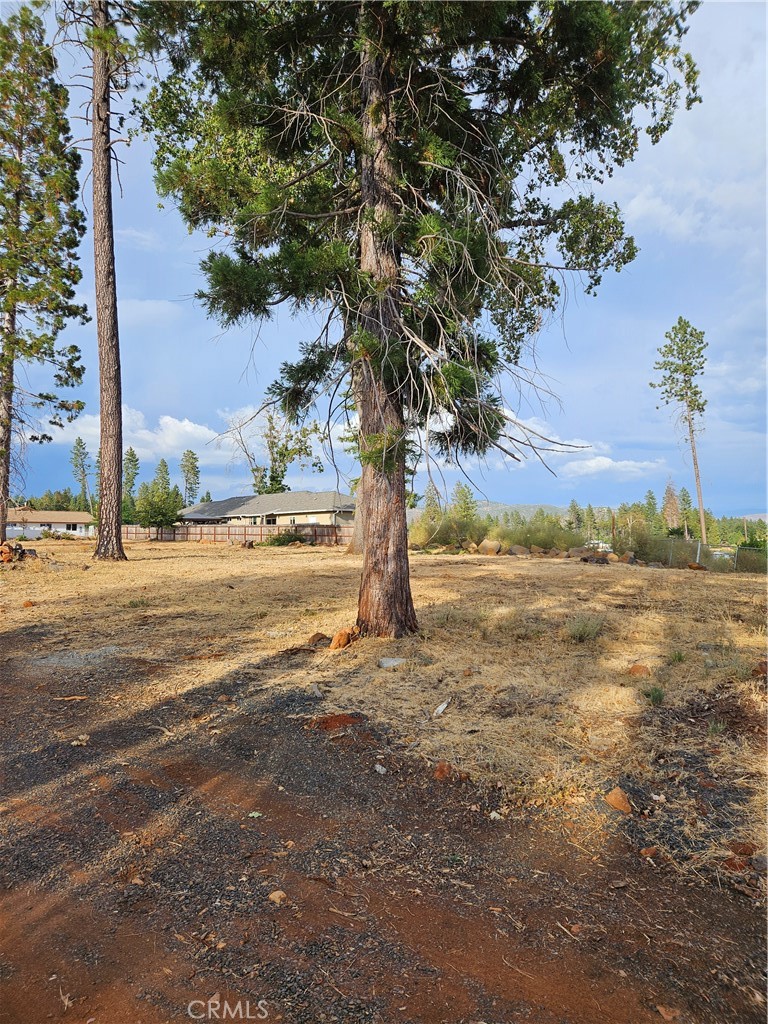 1283 Wagstaff Road Property Photo 3