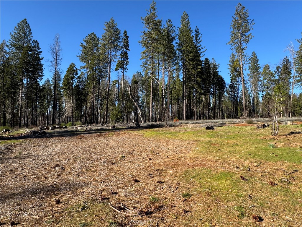 13787 Curtis Court Property Photo
