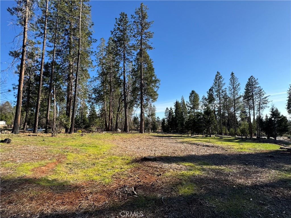 13787 Curtis Court Property Photo 2