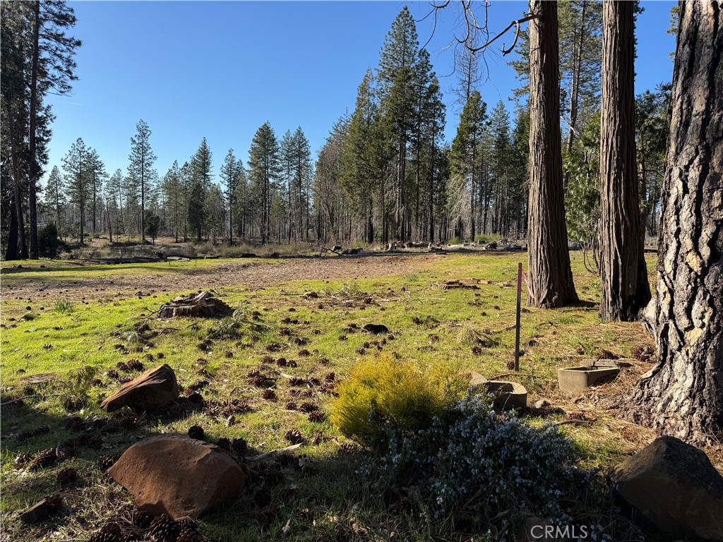 13787 Curtis Court Property Photo 3