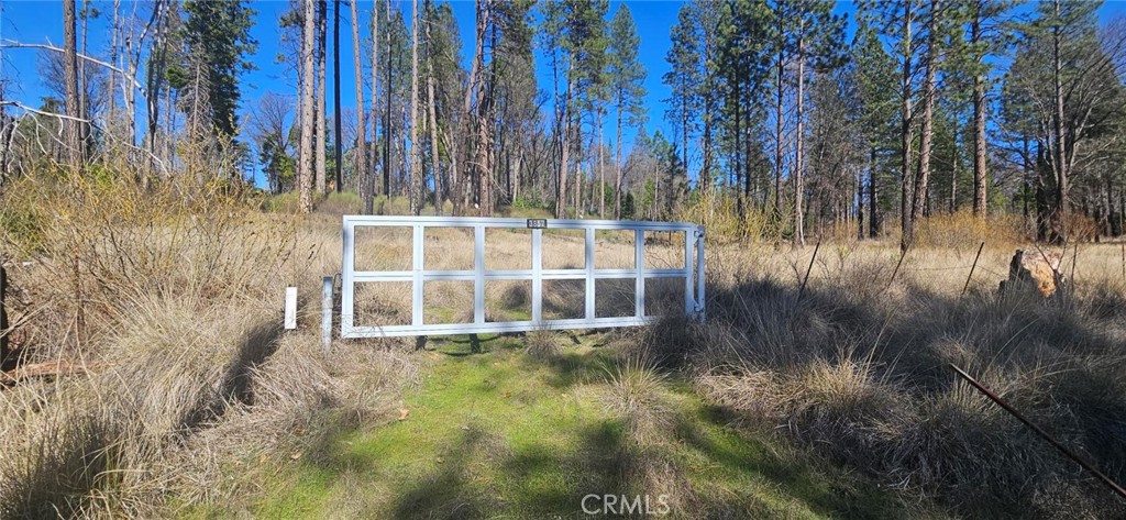 3857 Jeffrey Pine Lane Property Photo
