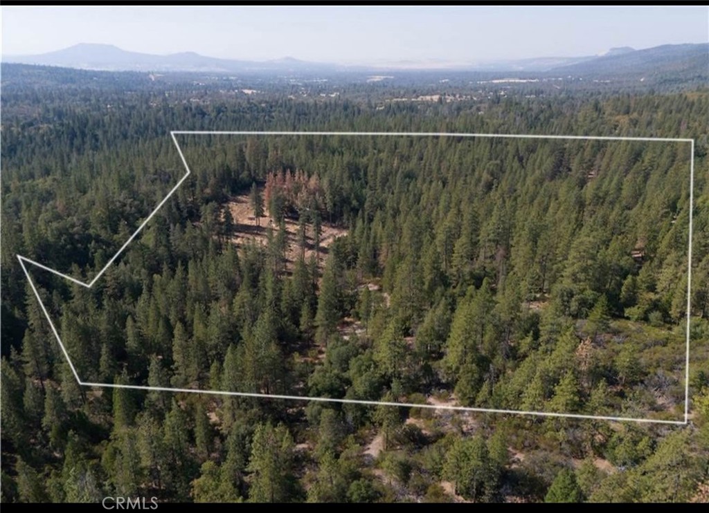 5901 Manton Ponderosa Way Property Photo