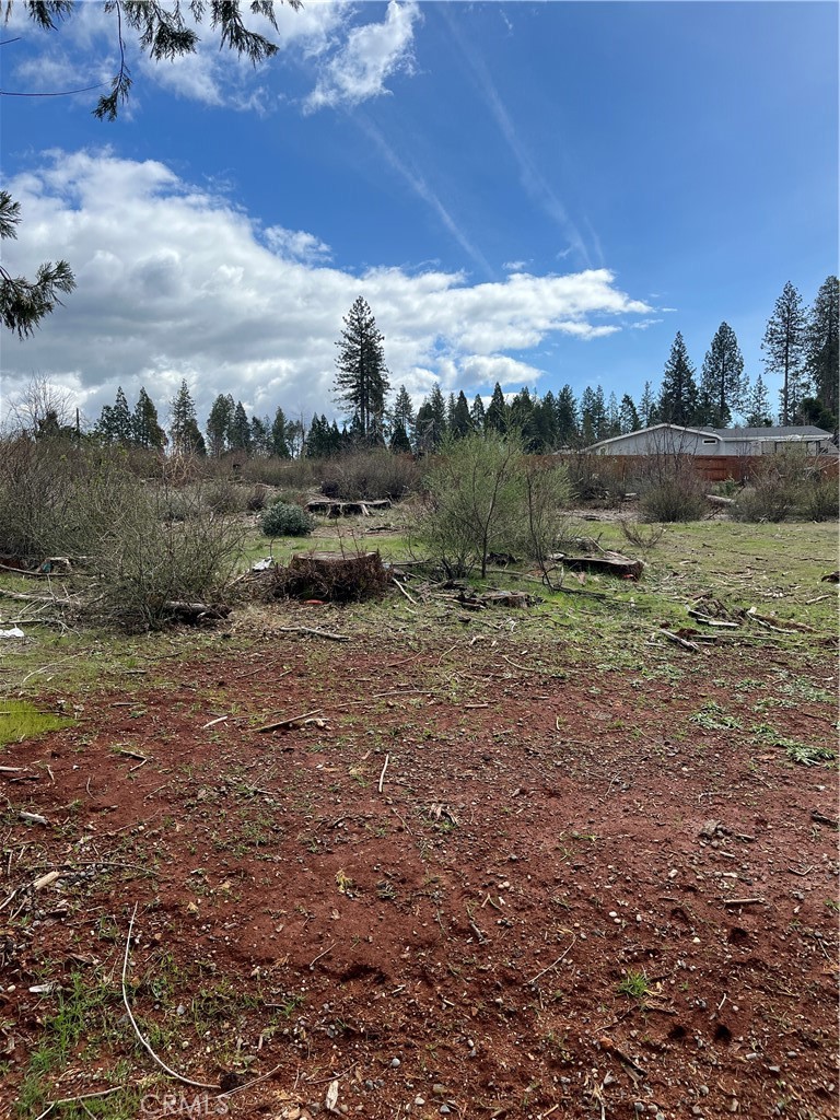 13924 Chestnut Circle Property Photo 3