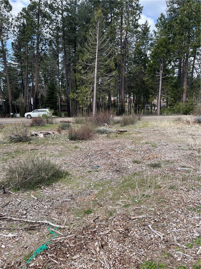 13924 Chestnut Circle Property Photo 6