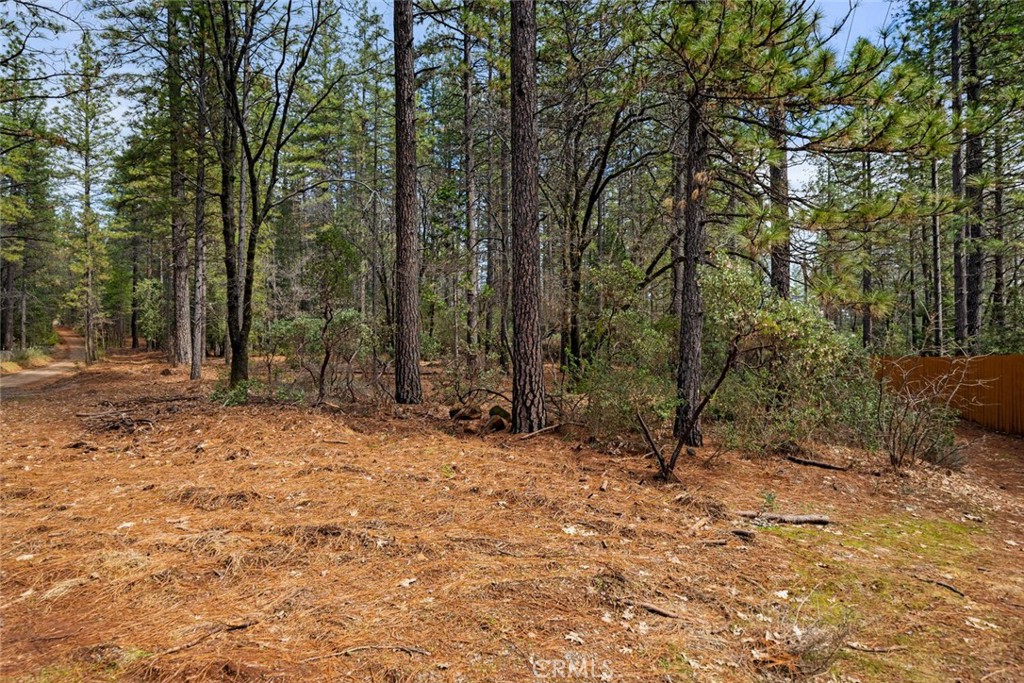 0 Doe Mill Road Property Photo