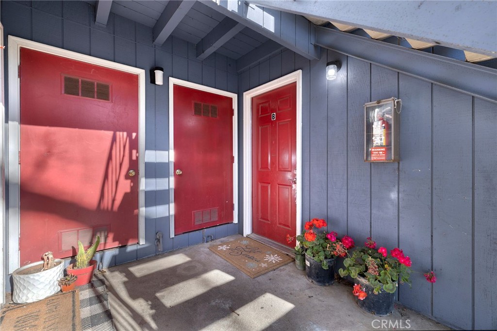 917 Christi Lane Property Photo 8