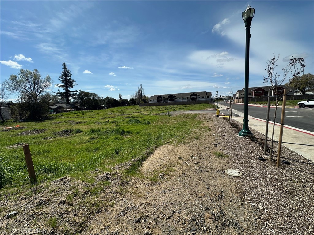 1425 Hwy 99 Property Photo 12