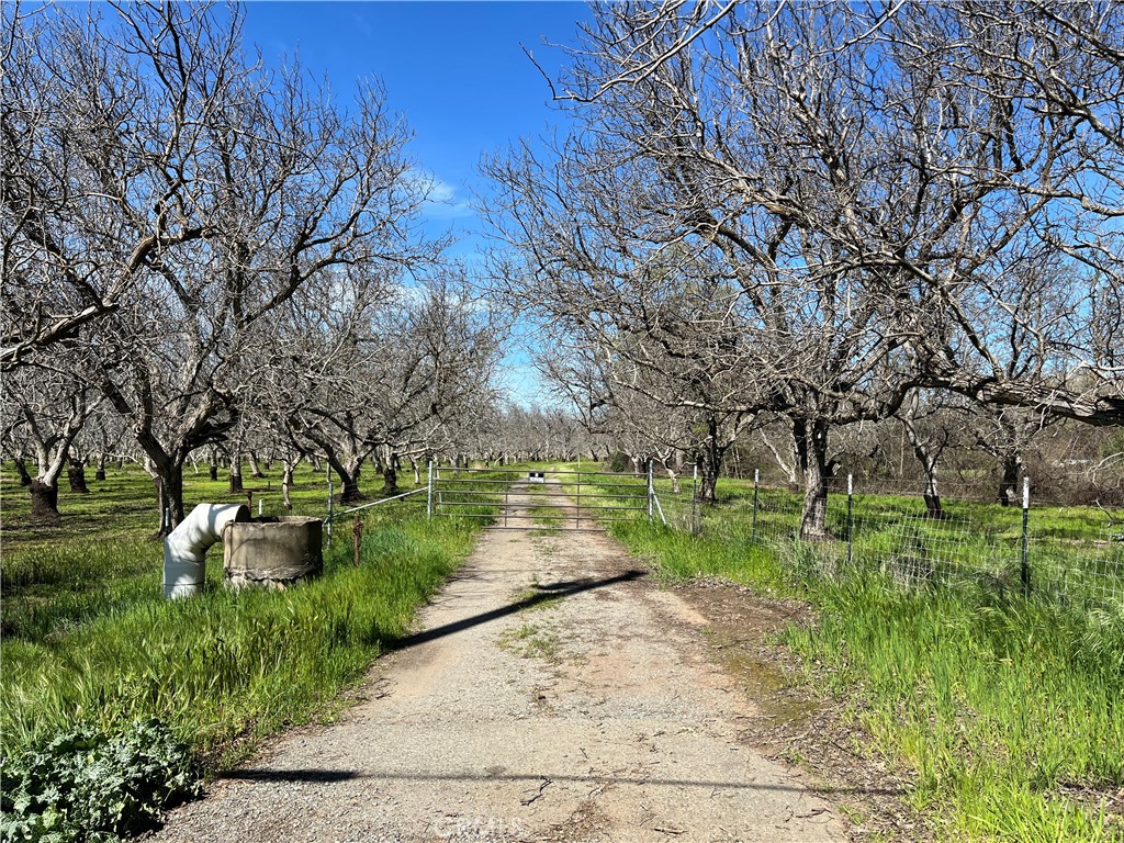 Tehama County Real Estate Listings Main Image