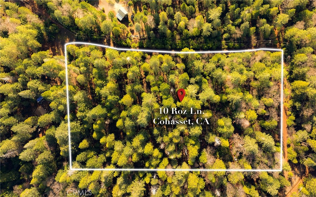 10 Roz Ln Property Photo 4