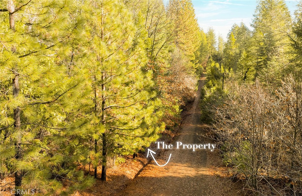 10 Roz Ln Property Photo 7