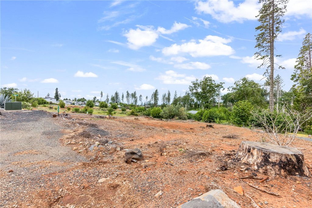 1032 Pearson Road Property Photo 7
