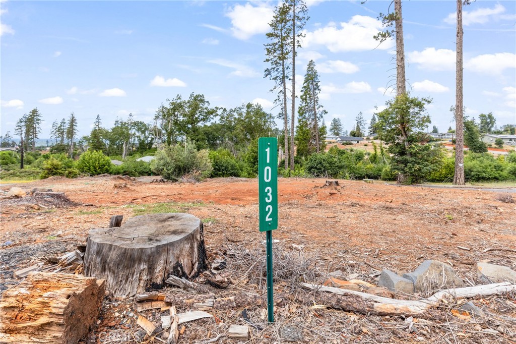 1032 Pearson Road Property Photo 8