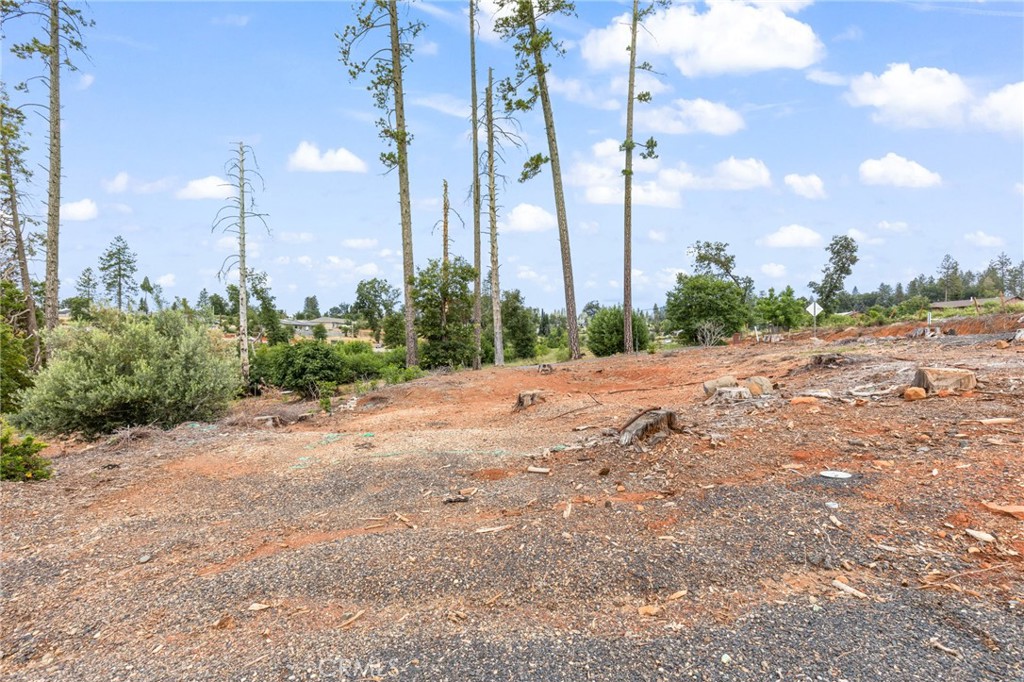 1032 Pearson Road Property Photo 10