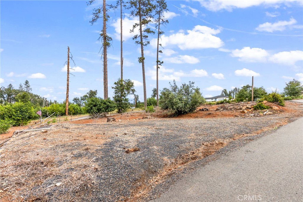 1032 Pearson Road Property Photo 11