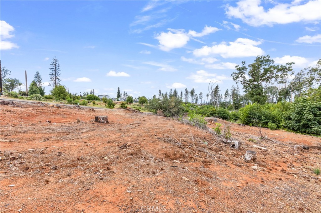 1032 Pearson Road Property Photo 13